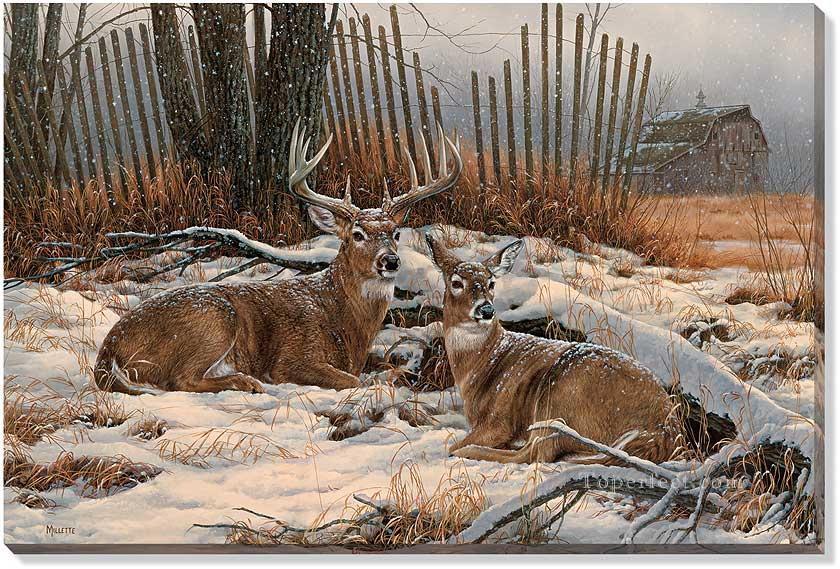 Refuge du brise vent Whitetail Deer Peintures à l'huile
